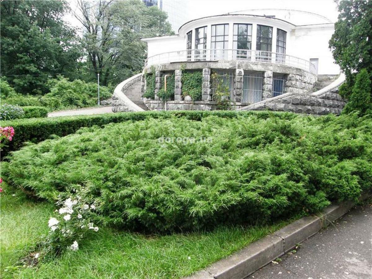Kyiv Top Location 60M2 Apt In Old City Fast Wifi Selfchekin Εξωτερικό φωτογραφία
